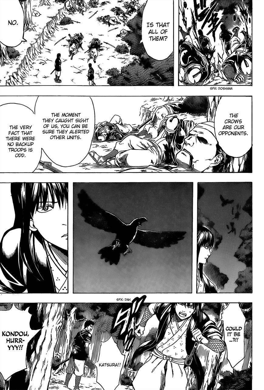 Gintama Chapter 534 page 7 - Chapter 534 : Iron Rules of Surveillance