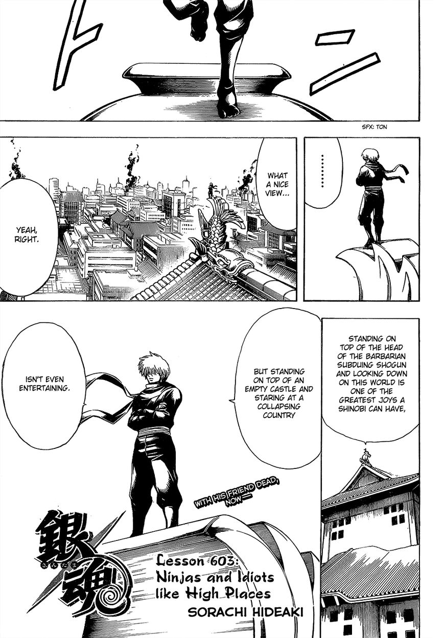 Gintama Chapter 603 page 1 - Chapter 603 : Ninjas and Idiots like High Places