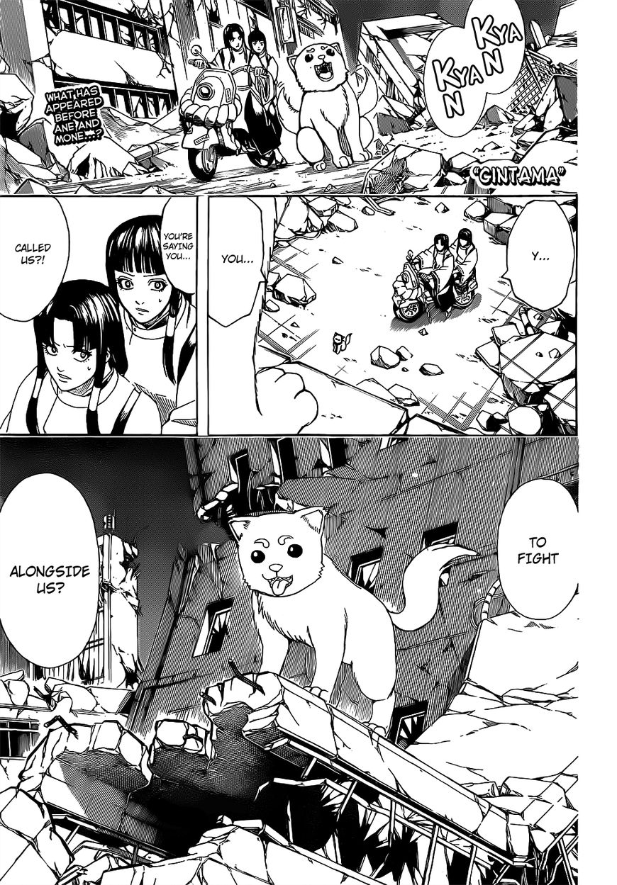Gintama Chapter 651 page 1 - Chapter 651 : When You Need a Hand, Ask A Beast With Paw Pads