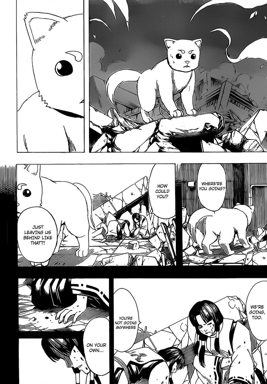 Gintama Chapter 657 page 3 - Chapter 657 : Dogs Love their Pack