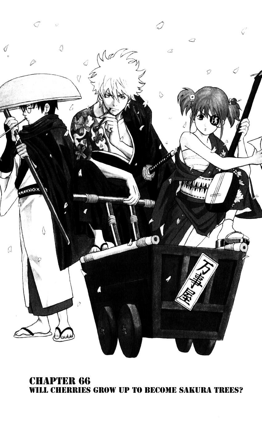 Gintama Chapter 66 page 2 - Chapter 66 : Lesson 66: Will cherries Grow Up To Become Sakura Trees?
