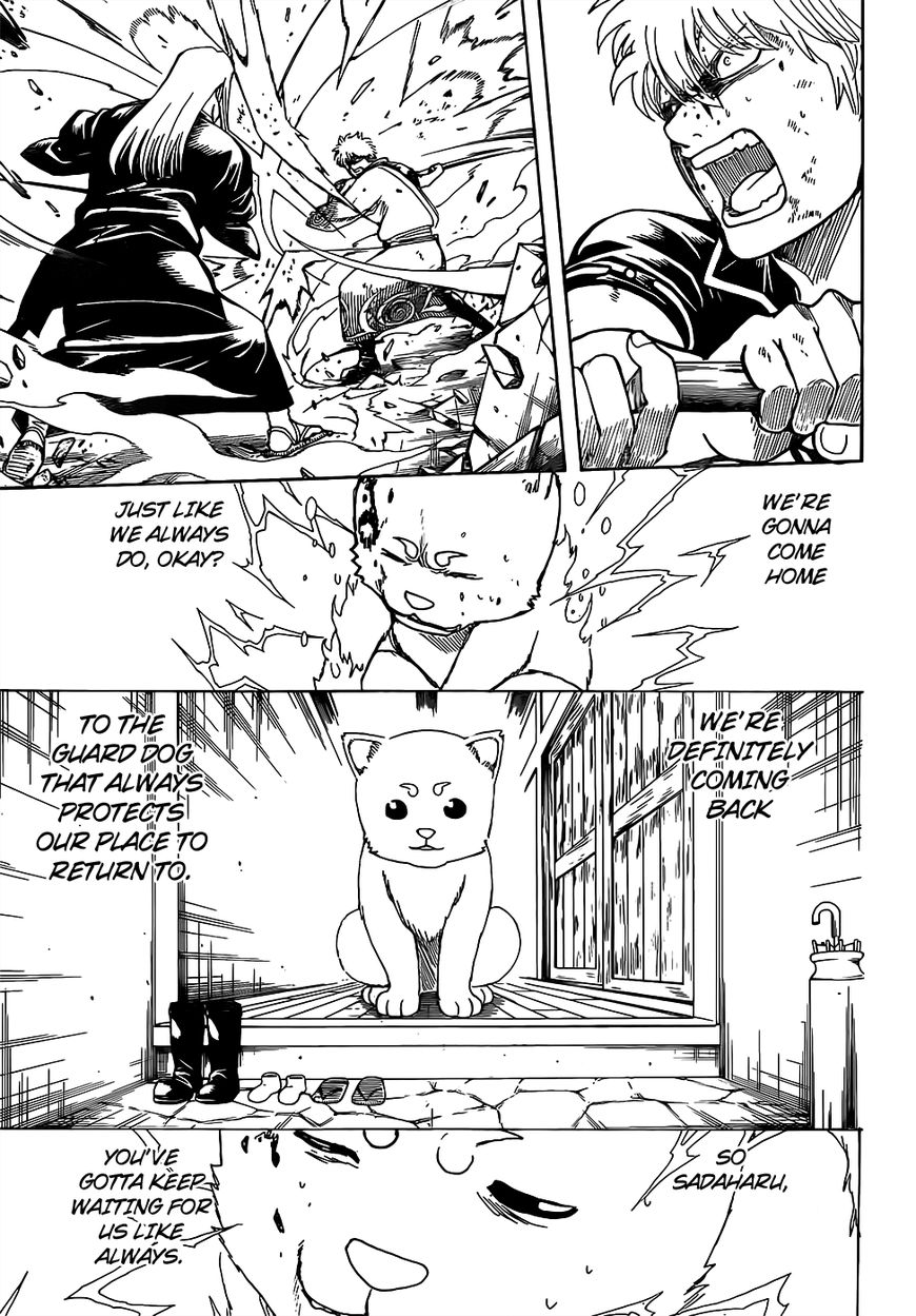 Gintama Chapter 664 page 11 - Chapter 664 : Guard Dog
