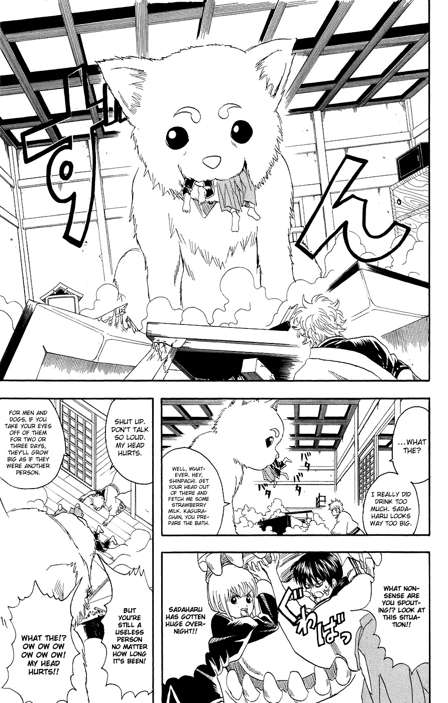Gintama Chapter 71 page 6 - Chapter 71 : Lesson 71: Stop Drinking Sake When You're Feeling Good.