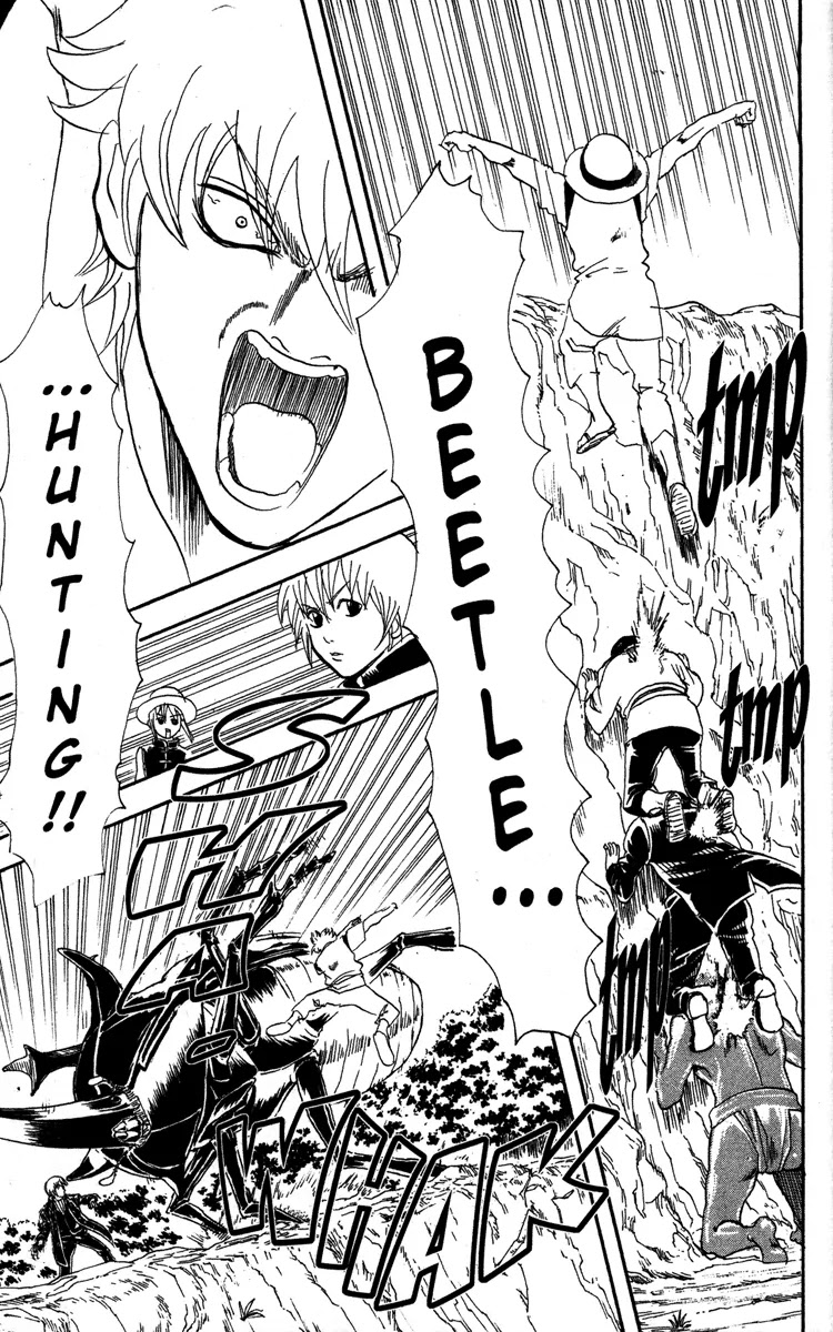 Gintama Chapter 84 page 17 - Chapter 84 : Even an Inch-Long Insect Has a Soul