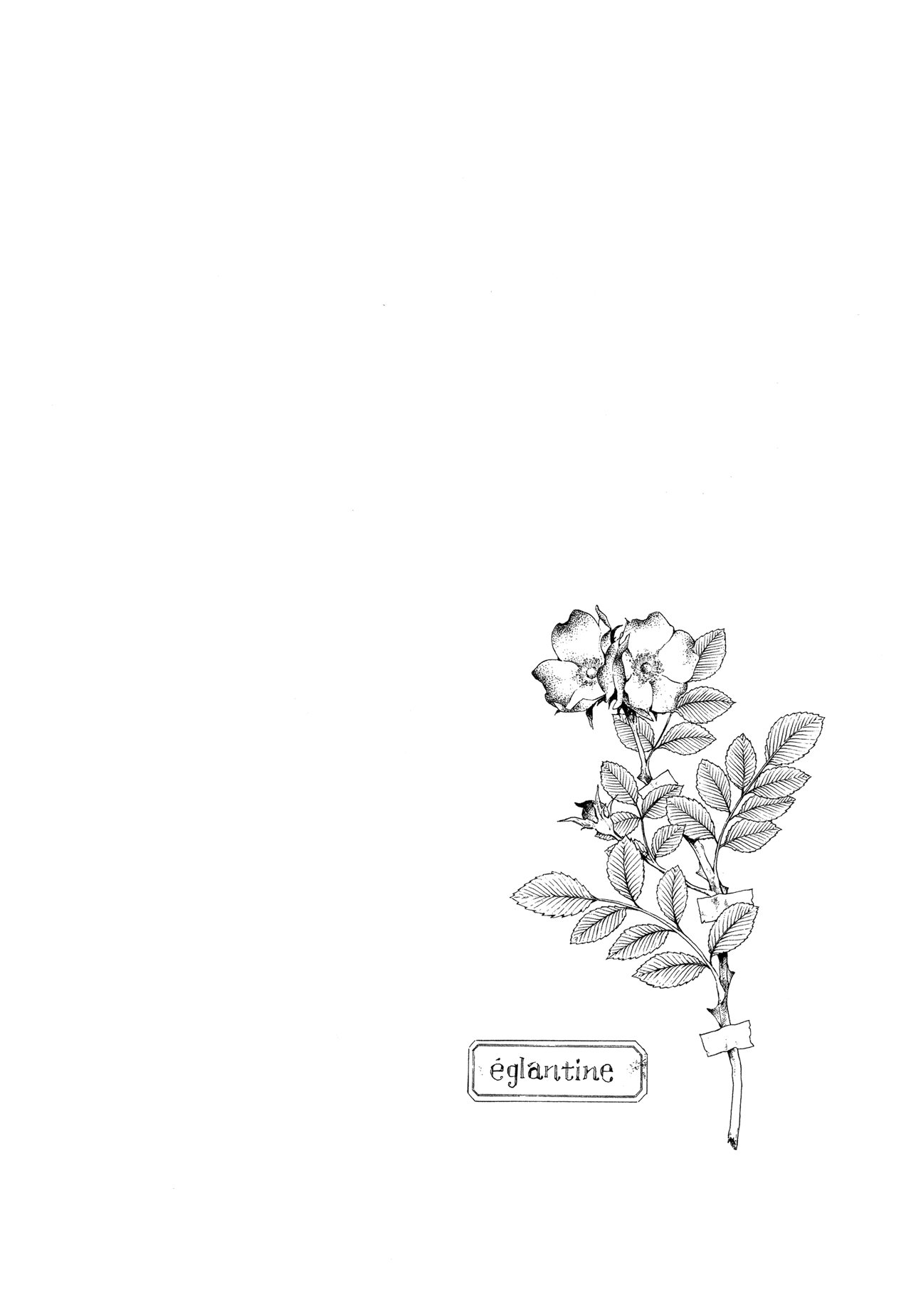 Gisele Alain Chapter 19.2 page 34 - Chapter 19 v2 : Does the quarreling sparrow fear no man? (Act One)