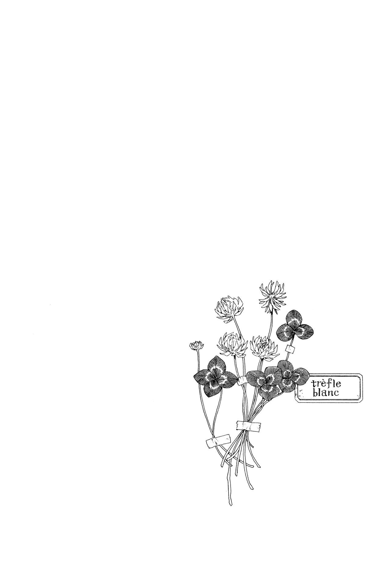 Gisele Alain Chapter 21.2 page 30 - Chapter 21 v2 : Does the quarreling sparrow fear no man? (Act Three)