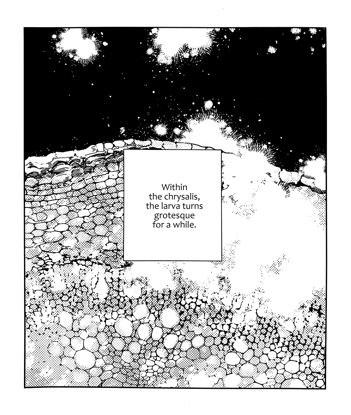 Given Chapter 39.9 page 2 - Chapter 39.9: movie DVD bonus