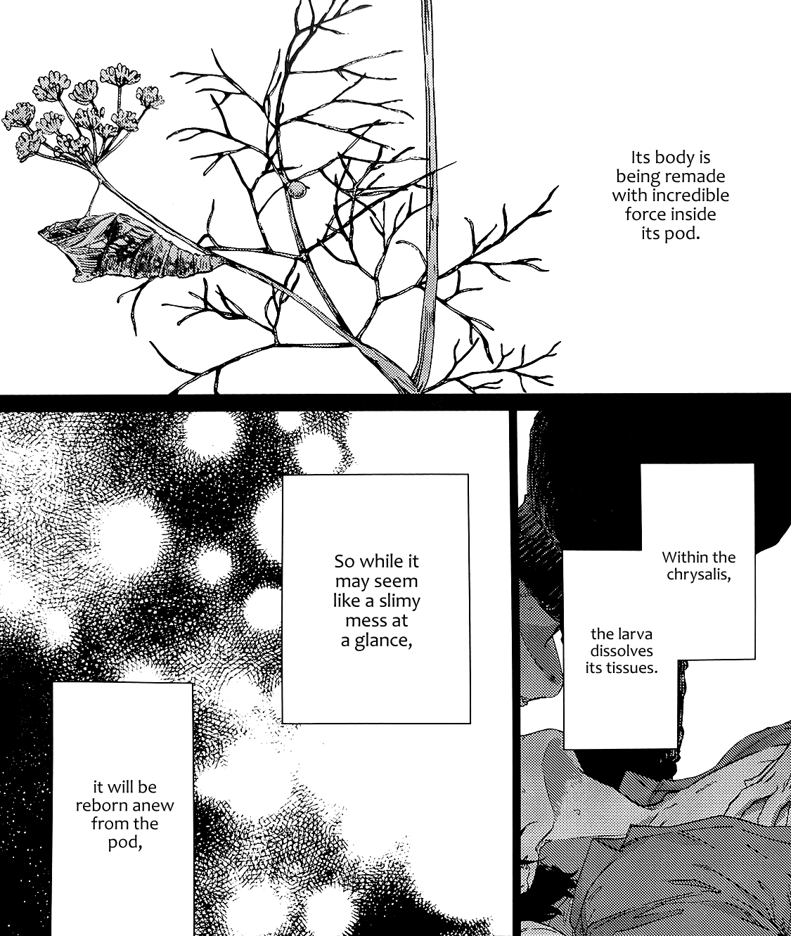 Given Chapter 39.9 page 7 - Chapter 39.9: movie DVD bonus