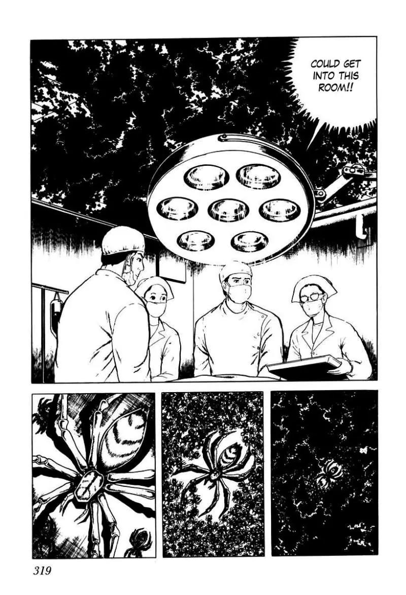 God’s Left Hand, Devil's Right Hand Chapter 37 page 13 - Chapter 37: Tongue of the Spider Queen (12)