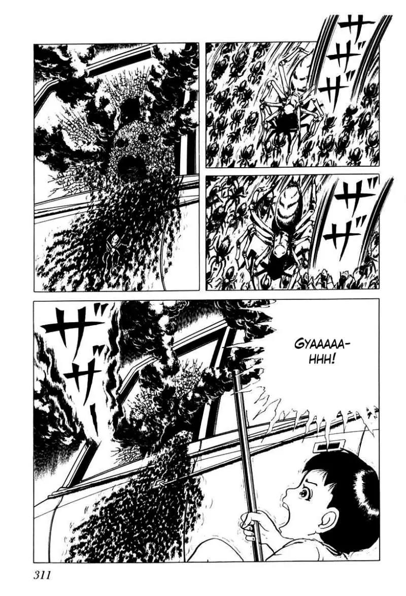 God’s Left Hand, Devil's Right Hand Chapter 37 page 5 - Chapter 37: Tongue of the Spider Queen (12)