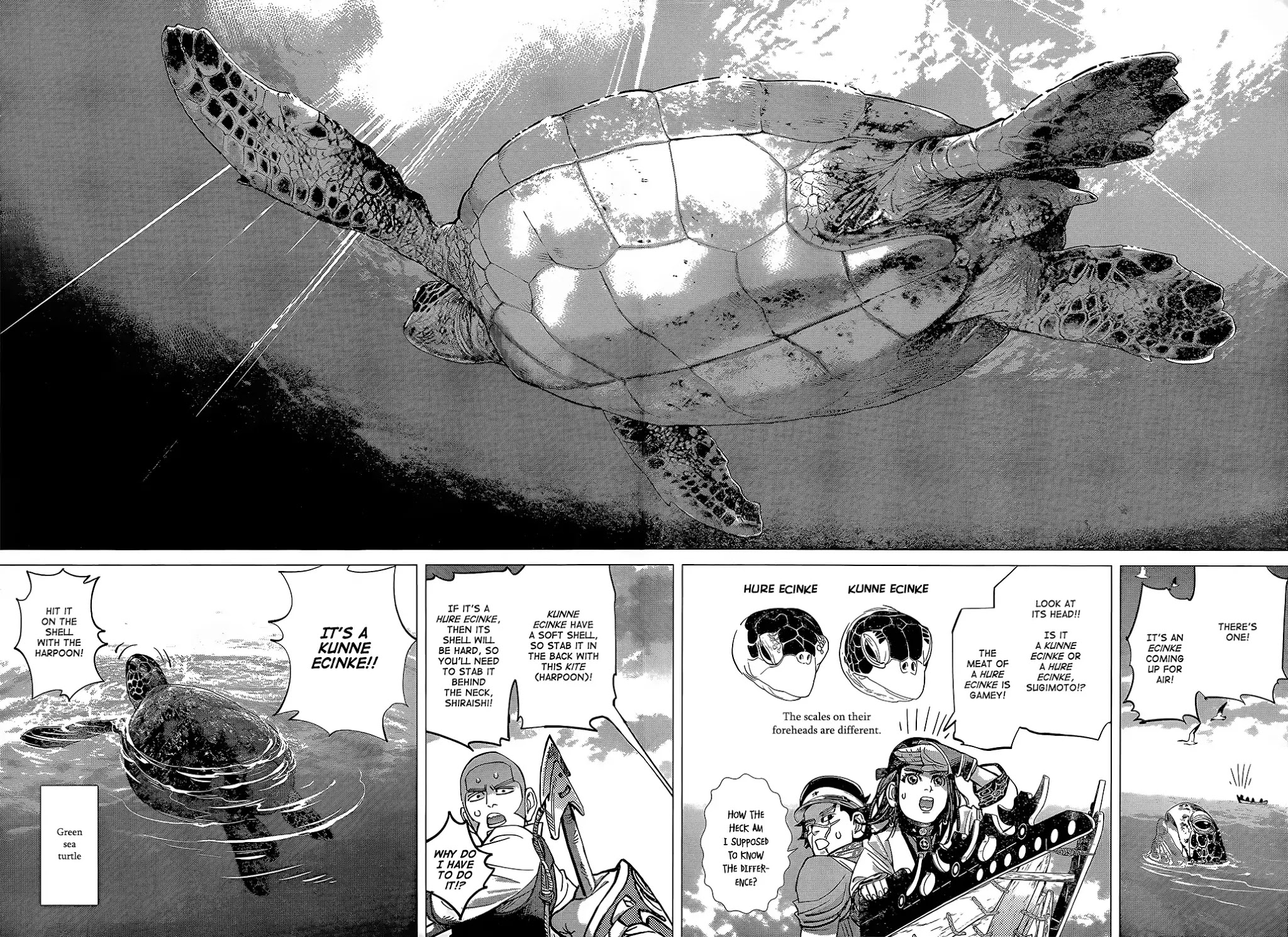 Golden Kamui Chapter 114 page 11 - Chapter 114: Ecinke
