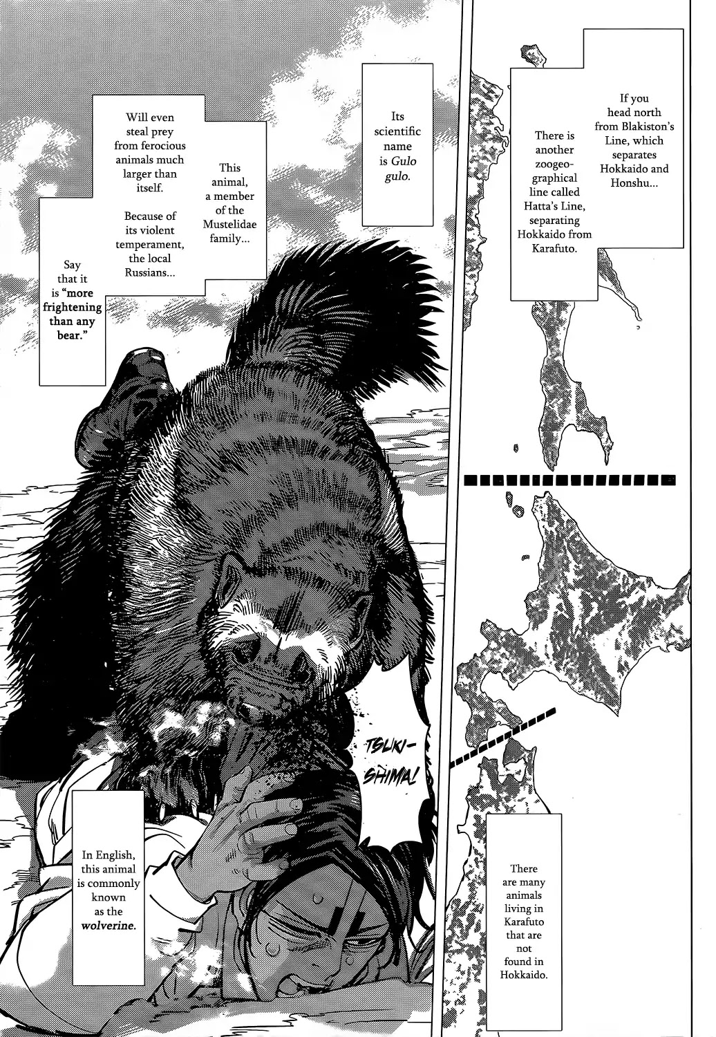 Golden Kamui Chapter 141 page 4 - Chapter 141: Karafuto Ainu