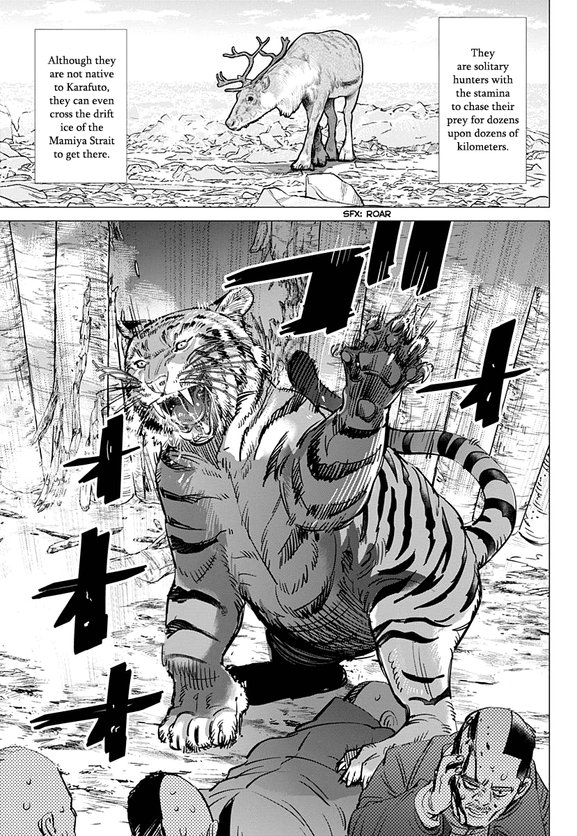 Golden Kamui Chapter 181 page 5 - Chapter 181: Amur Tiger