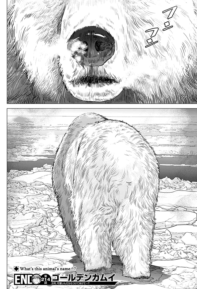 Golden Kamui Chapter 214 page 18 - Chapter 214: Ikazuchi-Class Destroyer vs. Karafuto Ferry