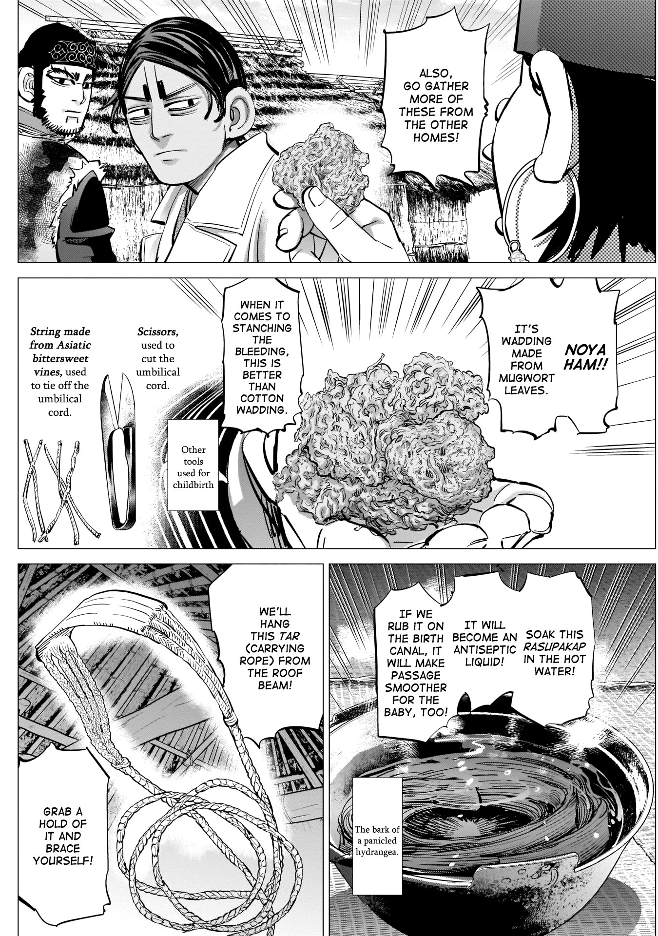 Golden Kamui Chapter 231 page 14 - Chapter 231: Birth