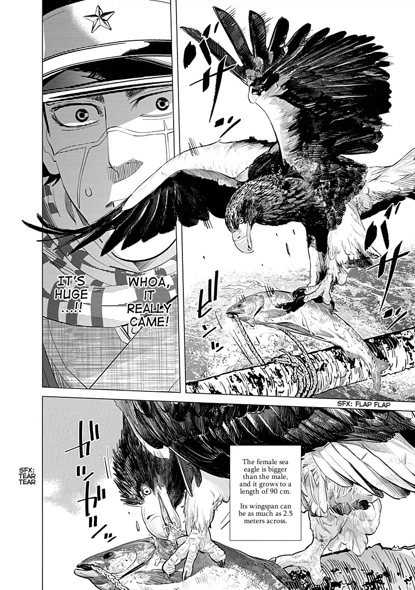 Golden Kamui Chapter 32 page 9 - Chapter 32: Attack of the Mysterious Winged Terror!