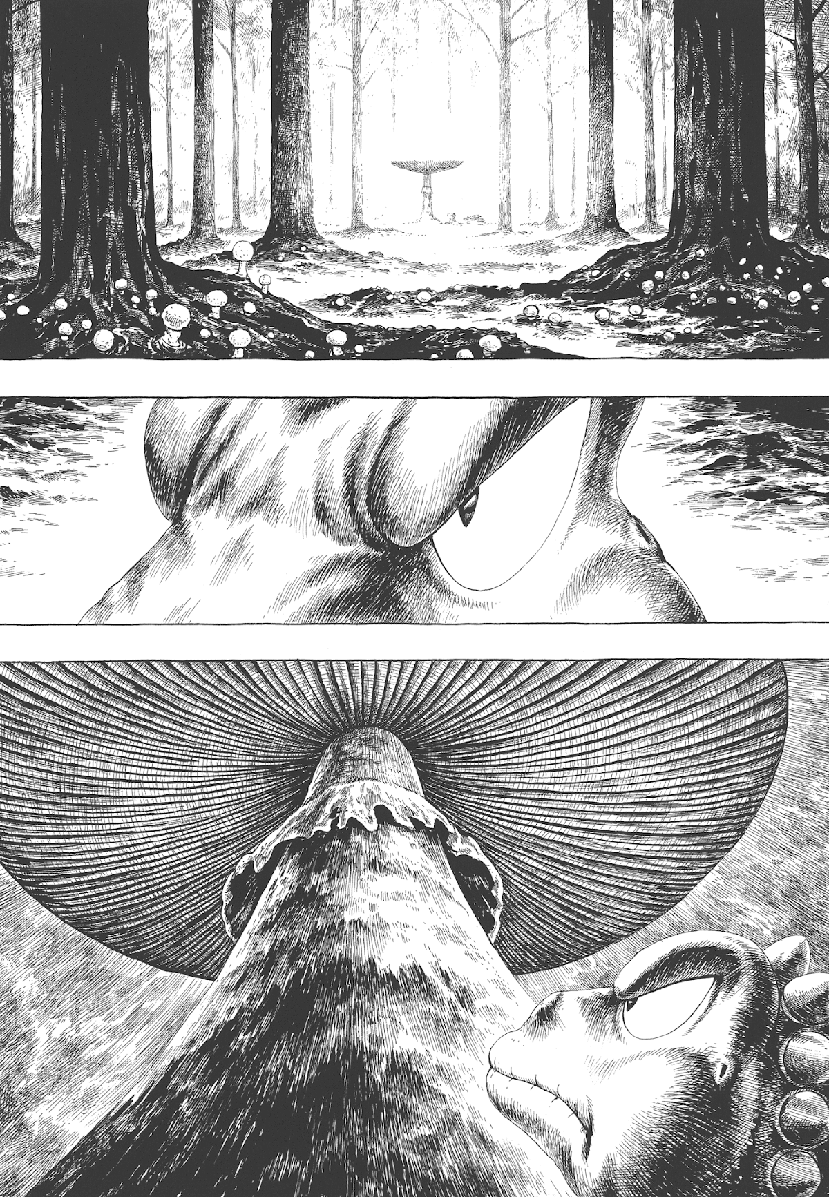 Gon Selection Chapter 2 page 26 - Chapter 2: GON Goes to Mushroom Hunting.