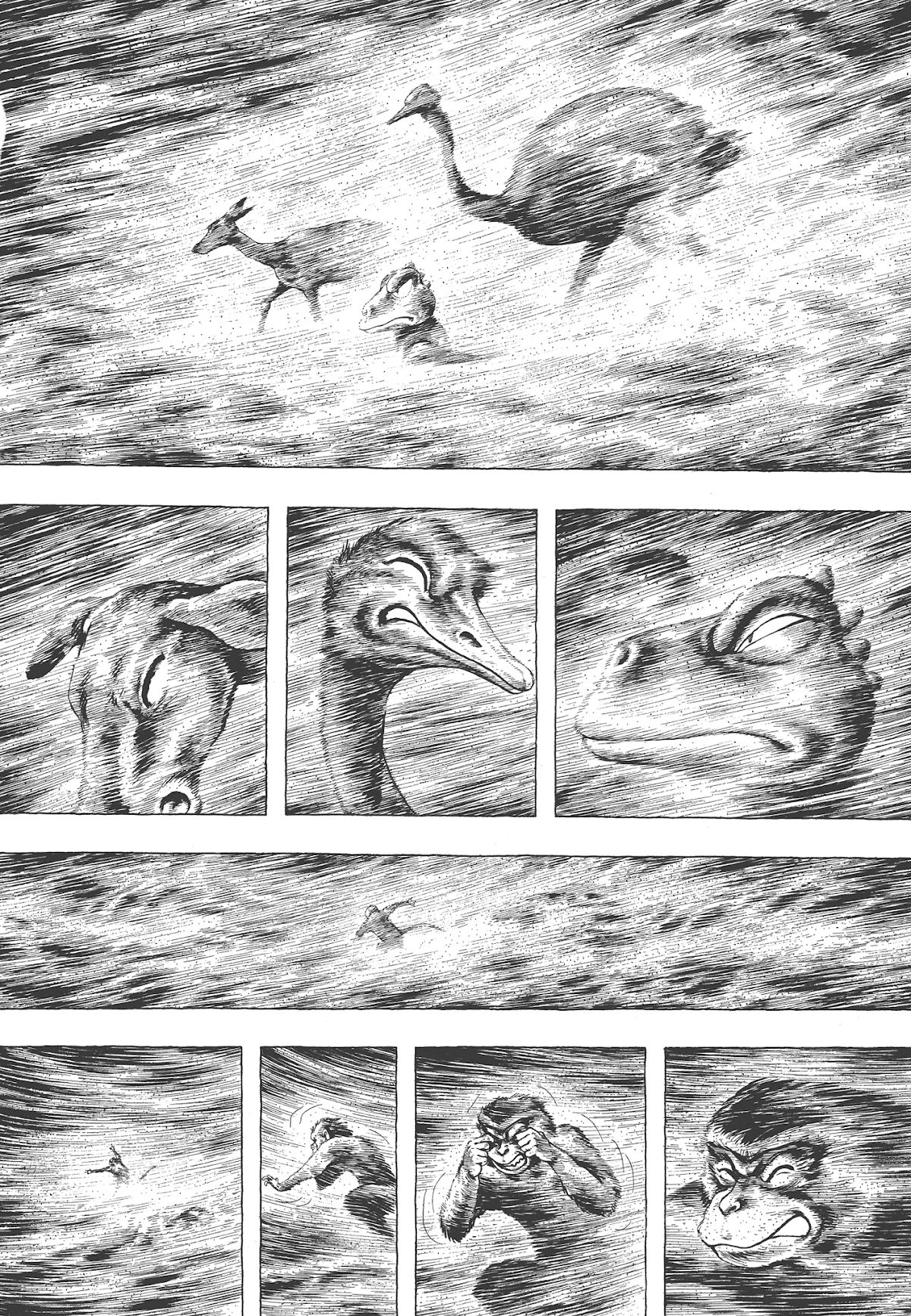 Gon Selection Chapter 3 page 18 - Chapter 3: GON Travels into the Desert.
