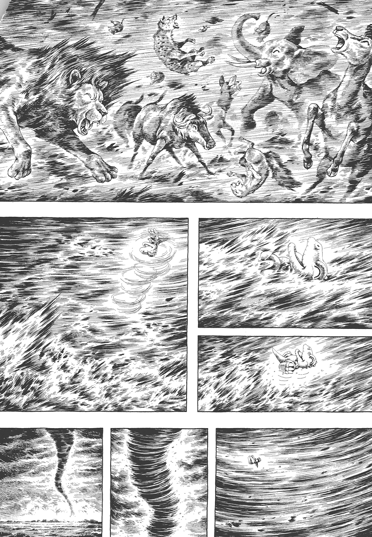 Gon Selection Chapter 3 page 5 - Chapter 3: GON Travels into the Desert.