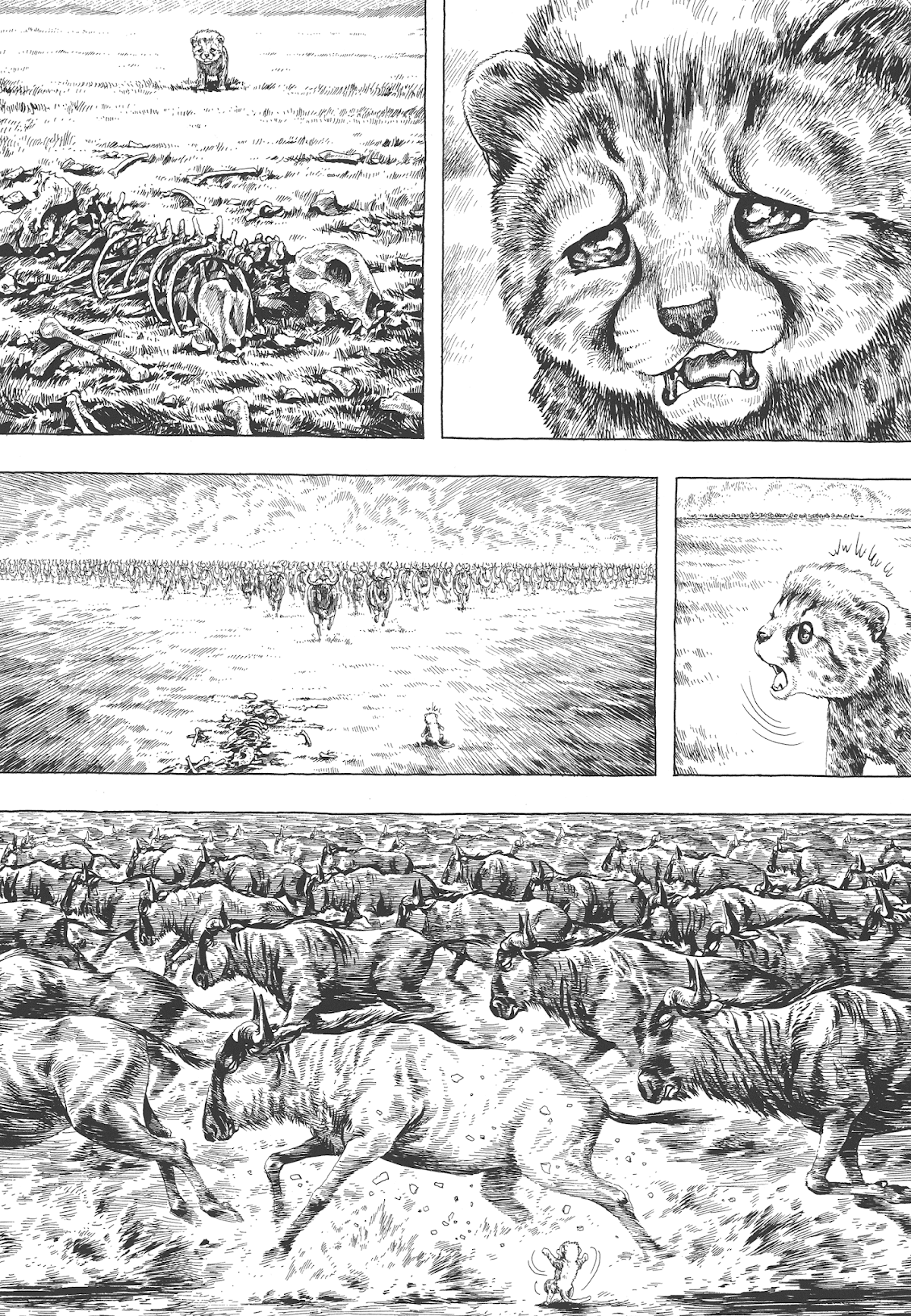 Gon Selection Chapter 4 page 5 - Chapter 4: GON and His Cronies.