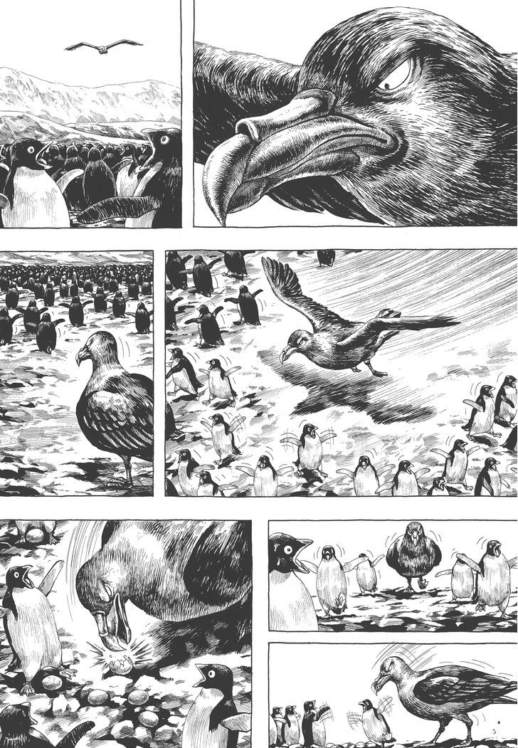 Gon Chapter 2.8 page 20 - Vol.2 Chapter 8 : GON Lives With The Penguins