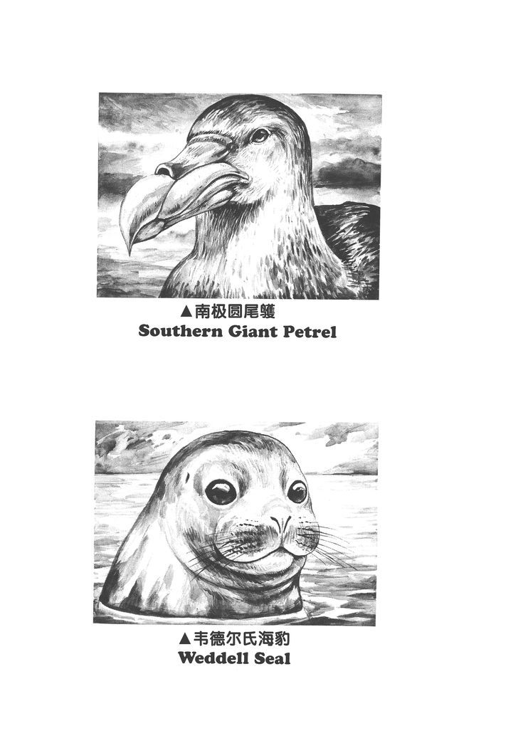 Gon Chapter 2.8 page 37 - Vol.2 Chapter 8 : GON Lives With The Penguins