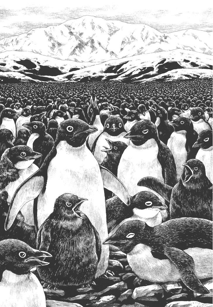 Gon Chapter 2.8 page 6 - Vol.2 Chapter 8 : GON Lives With The Penguins