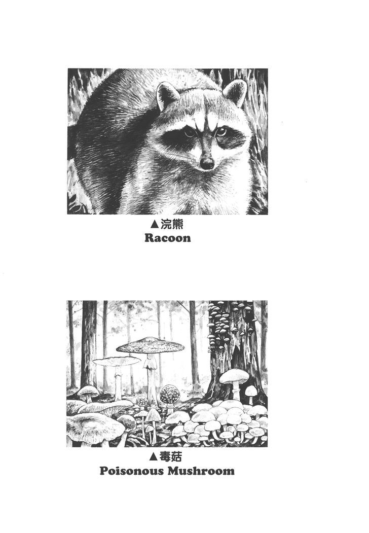 Gon Chapter 3.11 page 31 - Vol.3 Chapter 11 : GON Goes to Mushroom Hunting