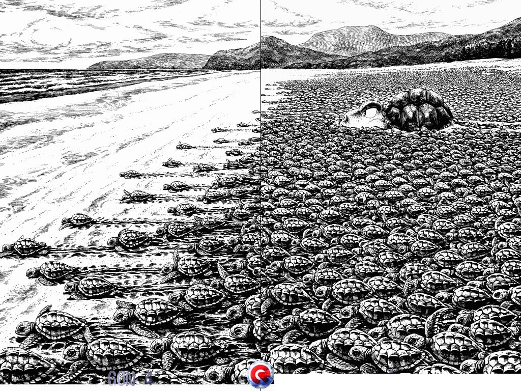 Gon Chapter 4.13 page 16 - Vol.4 Chapter 13: Gon Becomes A Turtle