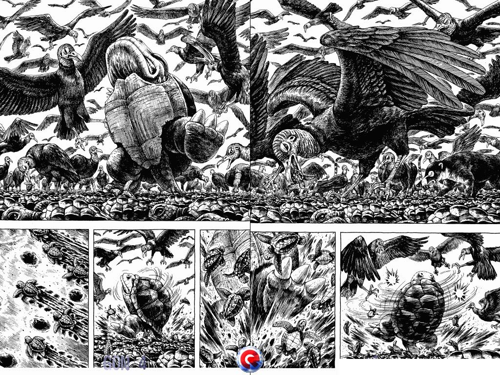 Gon Chapter 4.13 page 18 - Vol.4 Chapter 13: Gon Becomes A Turtle
