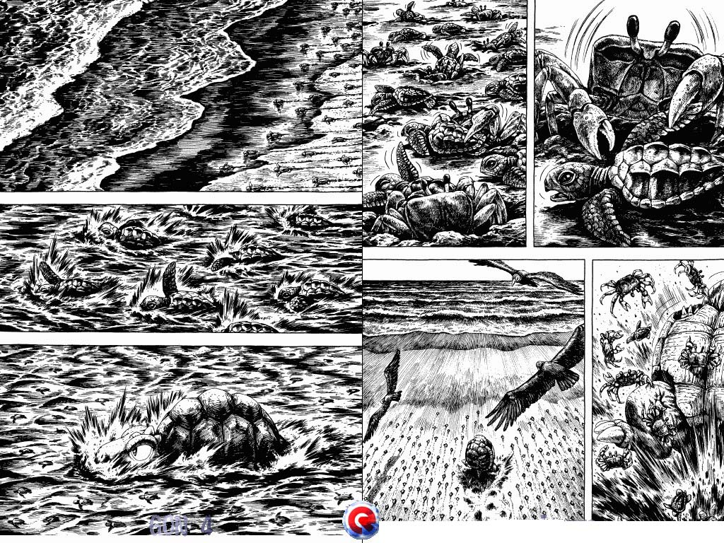 Gon Chapter 4.13 page 19 - Vol.4 Chapter 13: Gon Becomes A Turtle