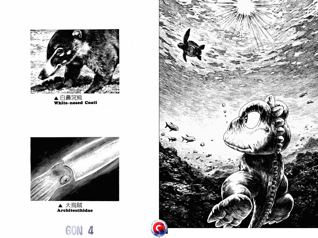 Gon Chapter 4.13 page 43 - Vol.4 Chapter 13: Gon Becomes A Turtle