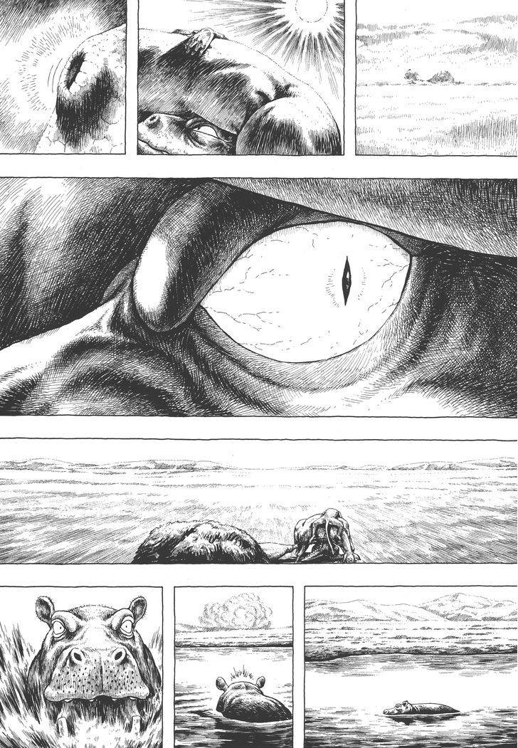Gon Chapter 4.14 page 29 - Vol.4 Chapter 14 : GON Jouneys Into The Desert