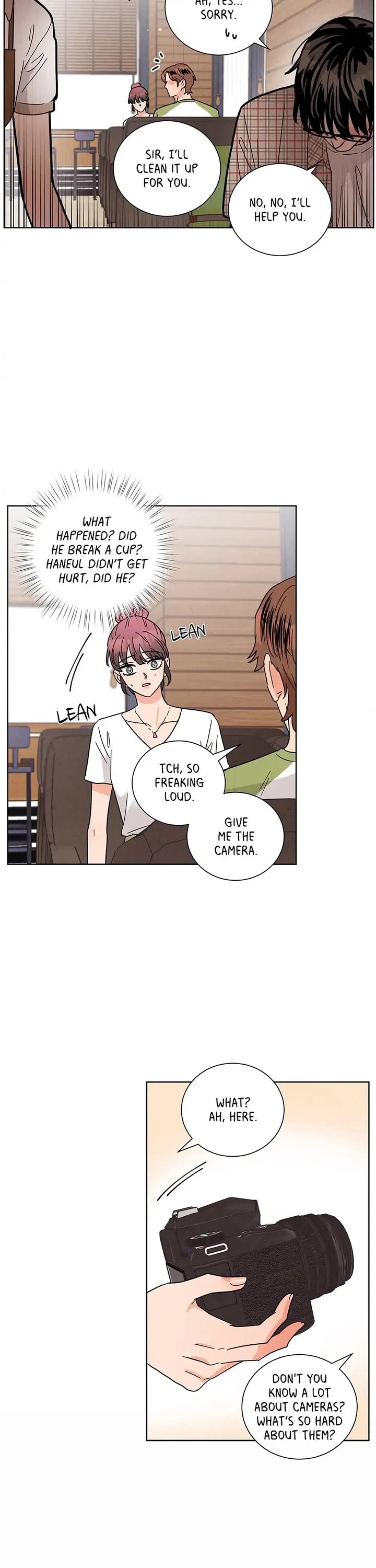 Goodbye, In-law! Chapter 50 page 26 - Chapter 50: Camera