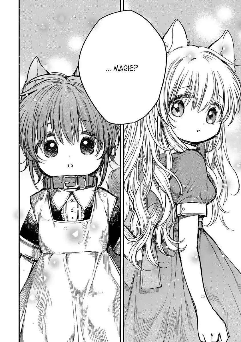 Goshujin-sama to Kemonomimi no Shoujo Meru Chapter 8 page 26 - Chapter 8: A Guest