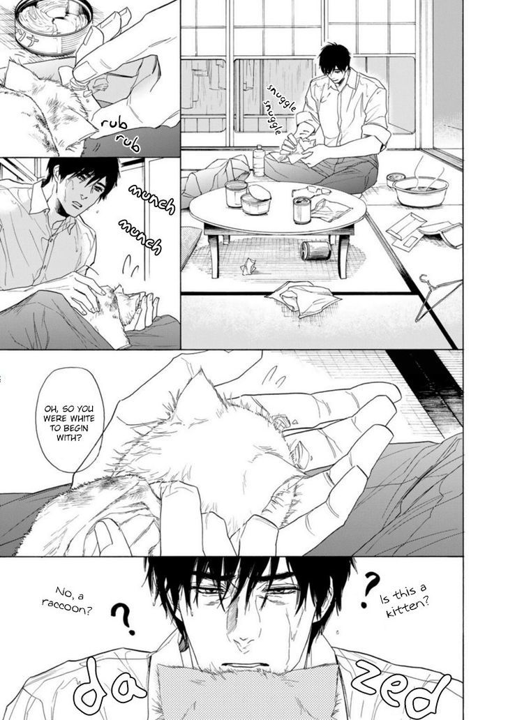 Goshujinsama toke dama Chapter 1 page 4 - Chapter 1
