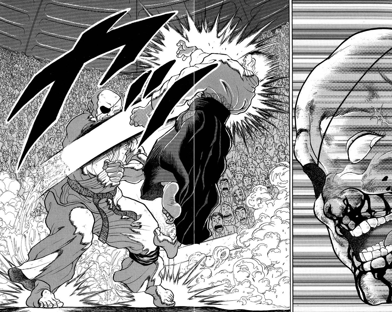 Grappler Baki Chapter 309 page 17 - Chapter 309: Perfect