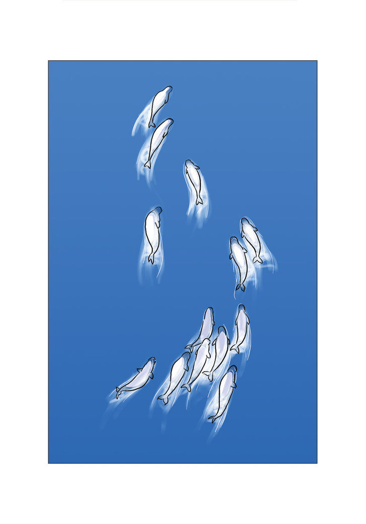 Green Smile Chapter 14 page 3 - Chapter 14 : Whale Hunting