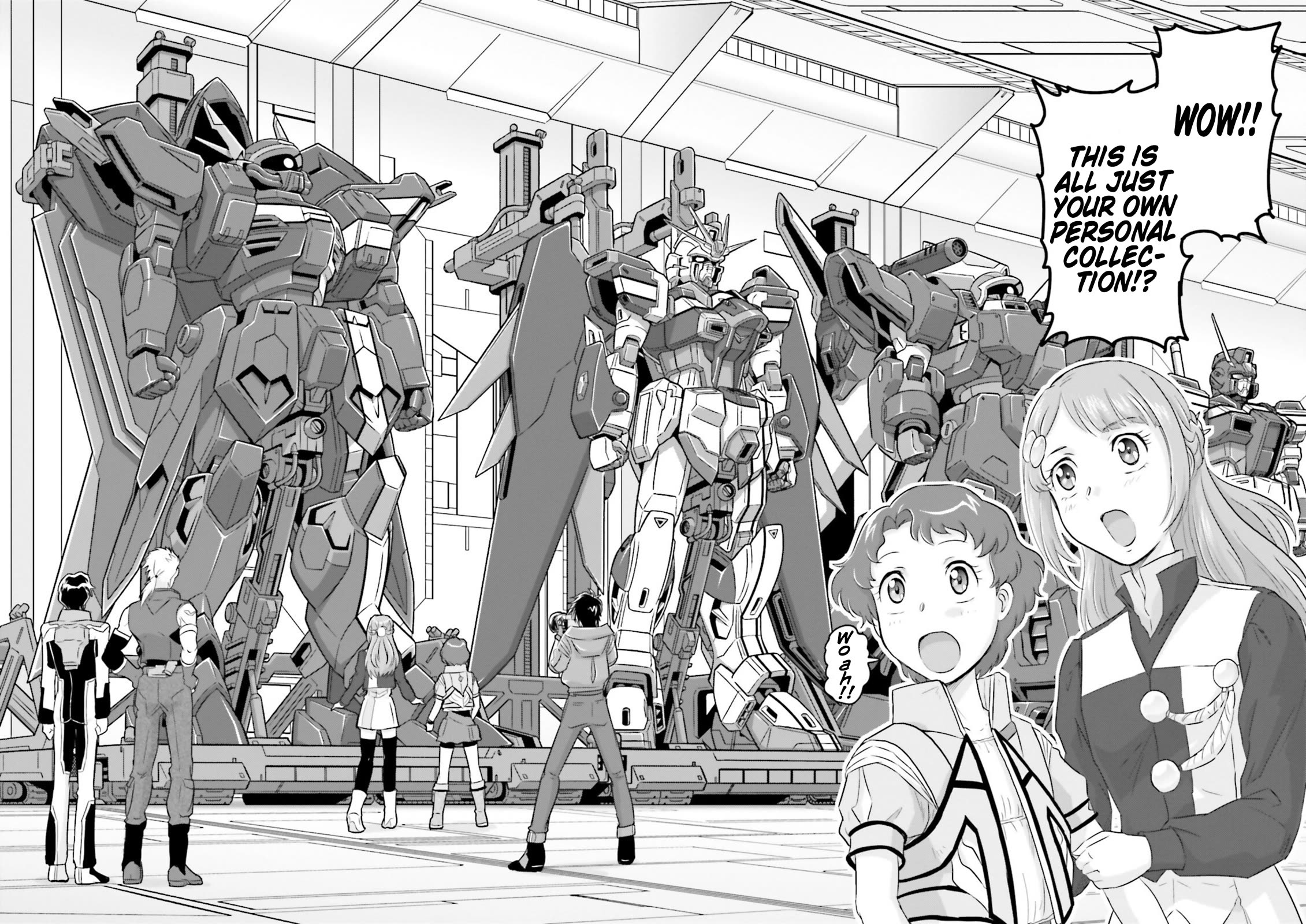 Gundam Seed Astray - Tenkuu no Seijo Chapter 7 page 9 - Chapter 7: Encounter 7: Pro Mobile Suit Pilot