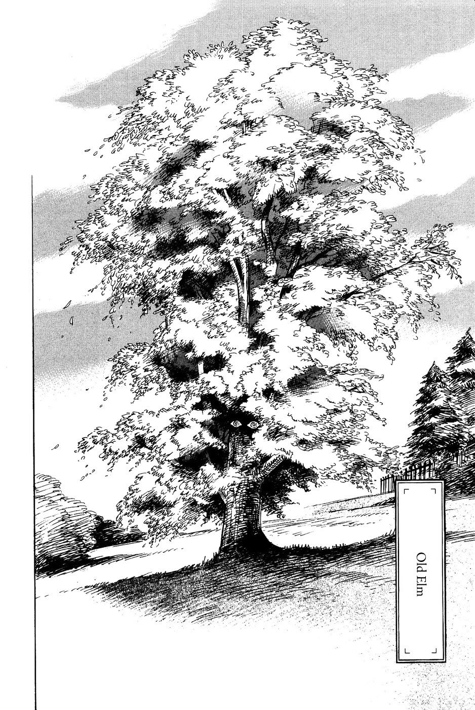 Gunjou Gakusha Chapter 37 page 5 - Chapter 37: Old Elm