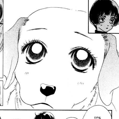 Guru Guru Pon-chan Chapter 5.1 cover