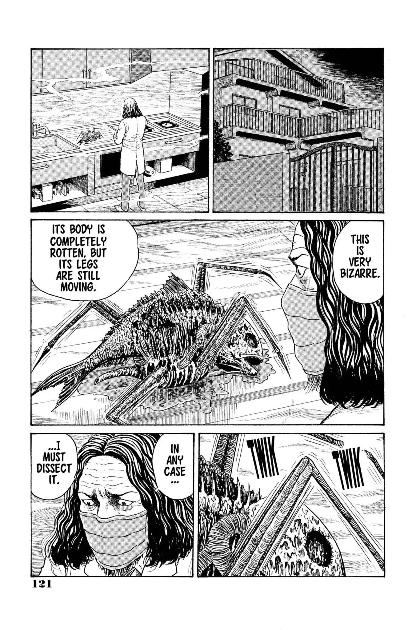 Gyo Chapter 6 page 13 - Chapter 6: The Death-Stench Creeps