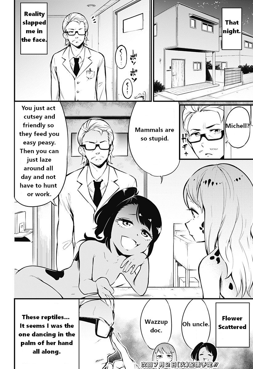 Hachuurui-chan wa Natsukanai Chapter 3 page 8 - Chapter 3