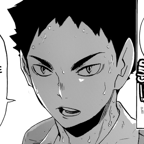 Haikyu!! Chapter 127: Golden Baby cover