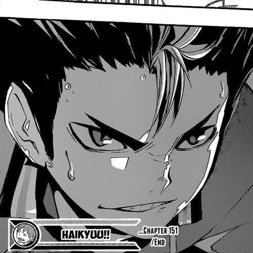 Haikyu!! Chapter 151: Final Novices cover