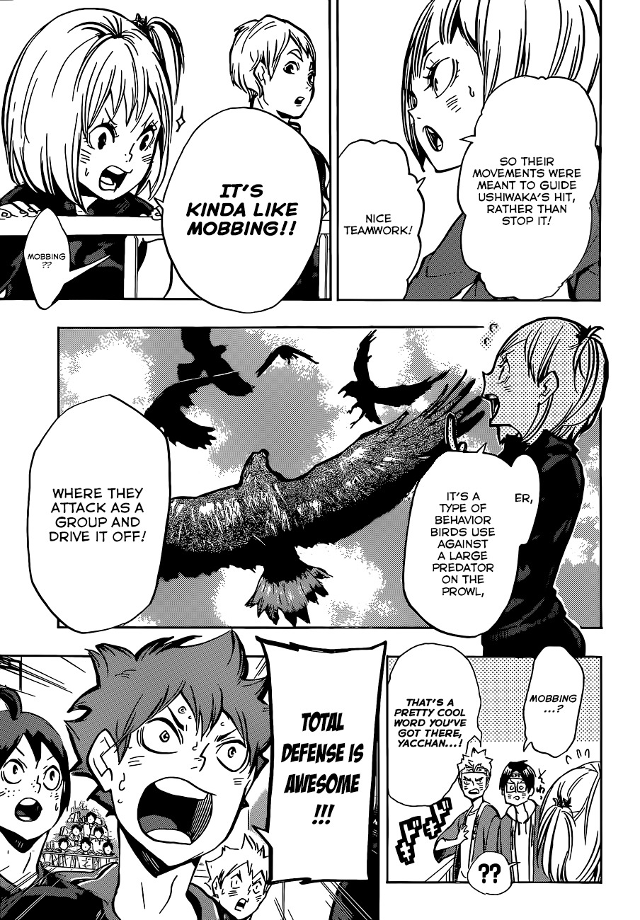 Haikyu!! Chapter 160 page 4 - Chapter 160: Vigilant Hostility