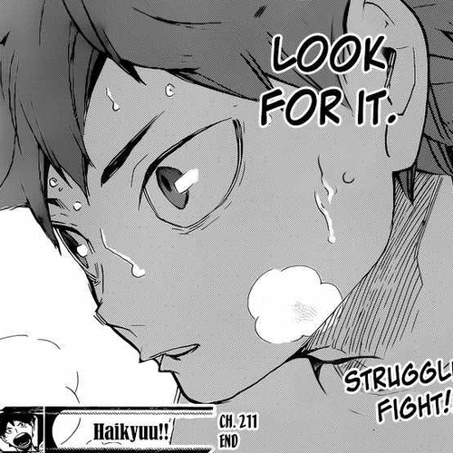 Haikyu!! Chapter 211: Lost Lamb cover