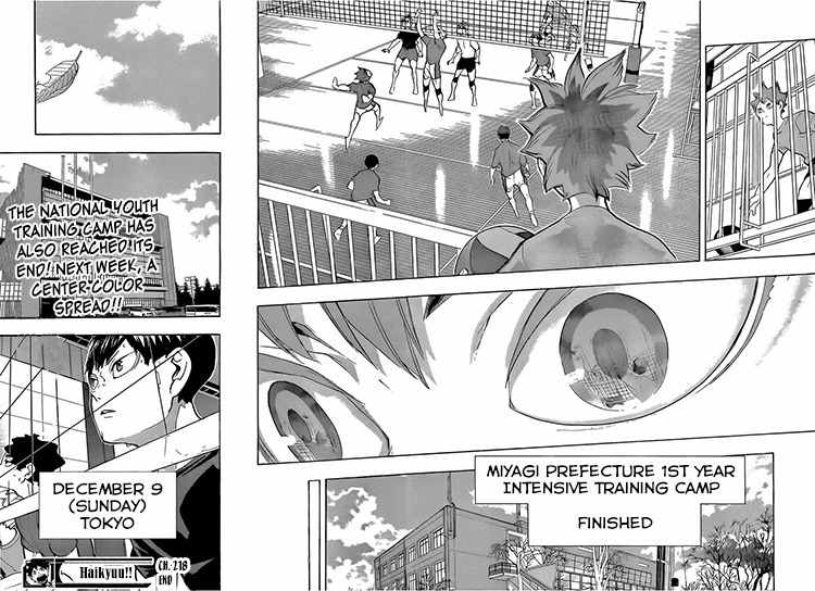 Haikyu!! Chapter 218 page 19 - Chapter 218: Until the End