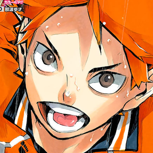 Haikyu!! Chapter 255.5 cover