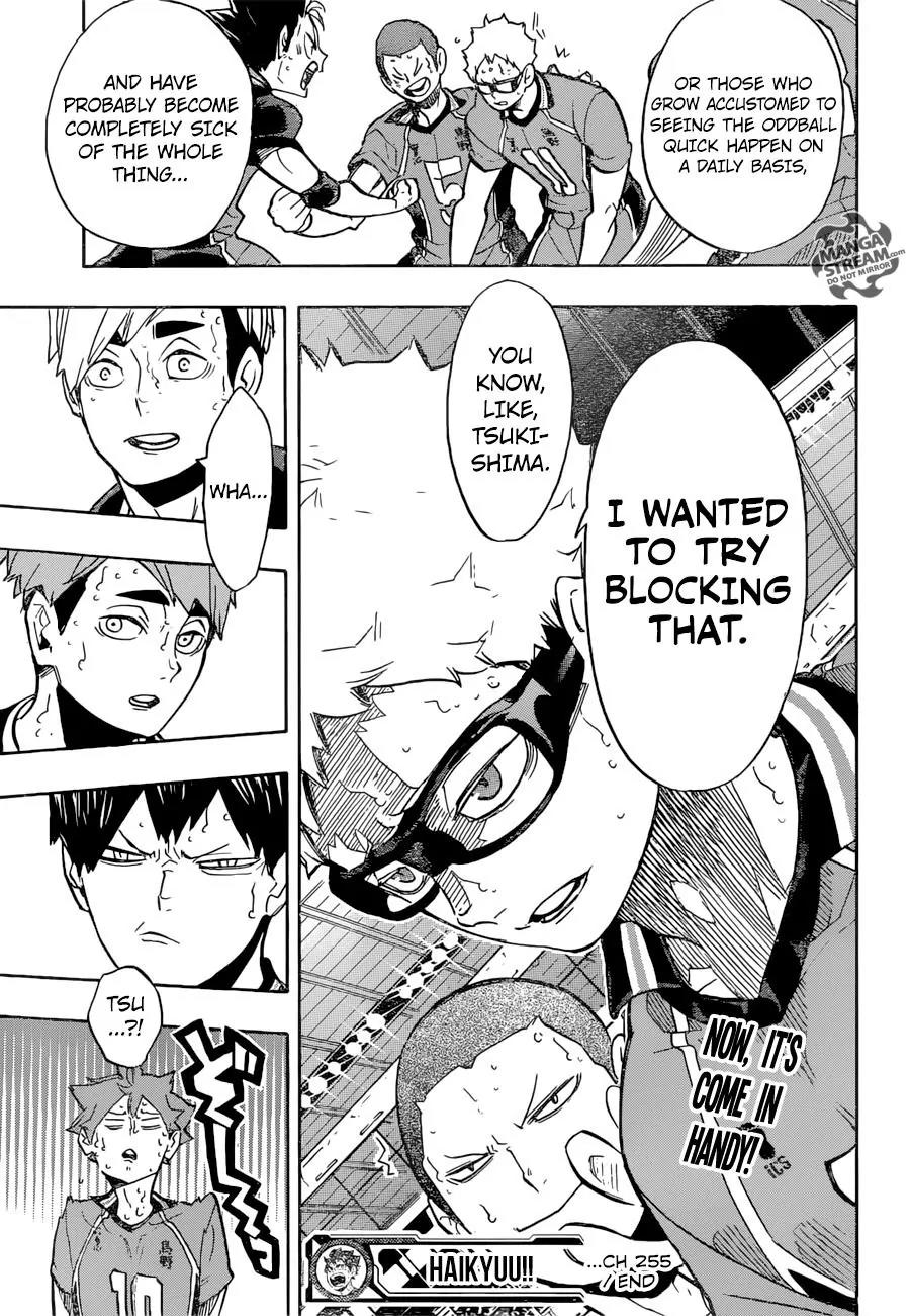 Haikyu!! Chapter 255 page 19 - Chapter 255: Find it